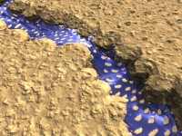 Click to see high resolution version