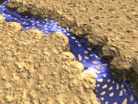 Click to see high resolution version