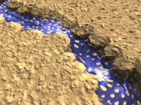 Click to see high resolution version