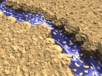 Click to see high resolution version