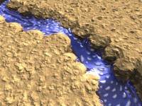 Click to see high resolution version