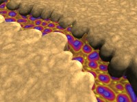 Click to see high resolution version