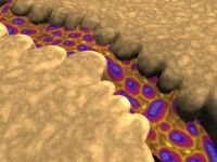 Click to see high resolution version