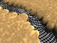 Click to see high resolution version