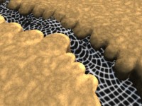 Click to see high resolution version