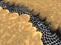 Click to see high resolution version