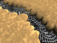 Click to see high resolution version