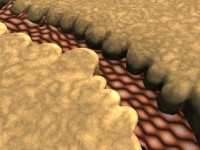 Click to see high resolution version