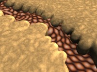 Click to see high resolution version