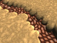 Click to see high resolution version